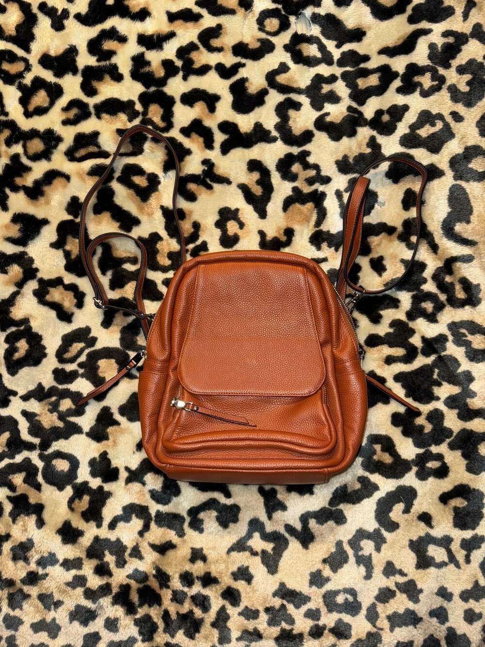 Altosy Small Genuine Leather 4-in-1 Convertible Backpack Purse